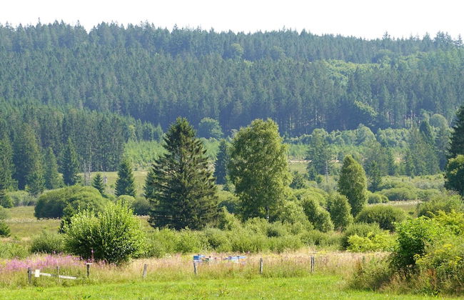 Cozy Forest Chalet Escape - Photo 28