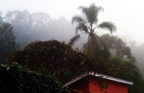 Casa Crudo, PRIVACIDADE NA MATA ATLÂNTICA, piscina, trilhas e descanso - Foto 26