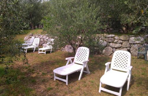 Ulivi sul Garda Garden by Gardadomusmea - Photo 52