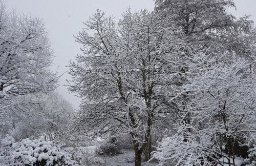 Ferien Fachwerkhaus - Foto 12