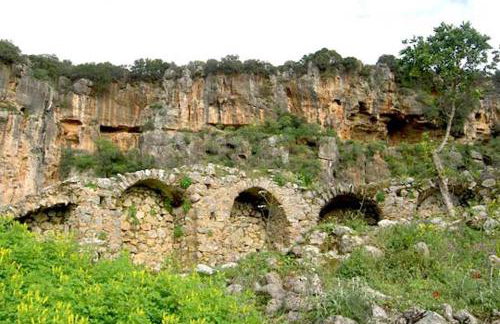 homonatura petrinum - Foto 34