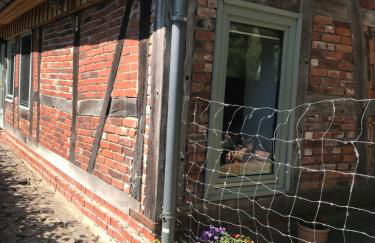 Gemütliche Ferienwohnung an der Elbe - Foto 21