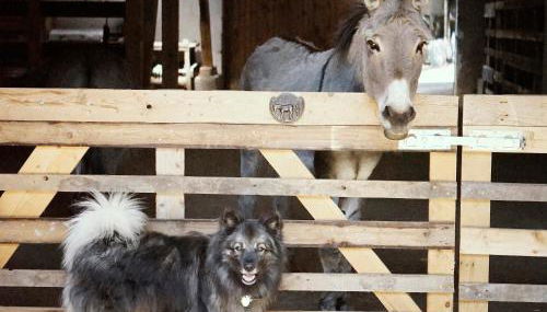 Ferienhof am Ipf - Foto 3