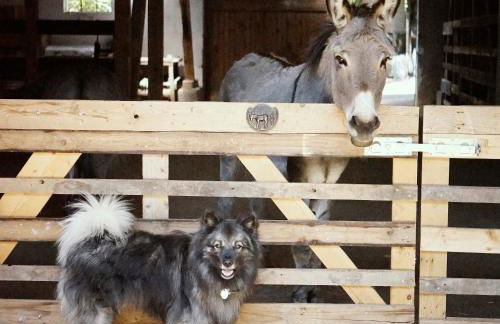 Ferienhof am Ipf - Foto 3