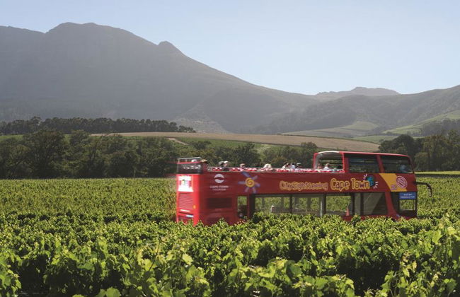 City Sightseeing Ciudad del Cabo - Tour en autobús turístico - Foto 5