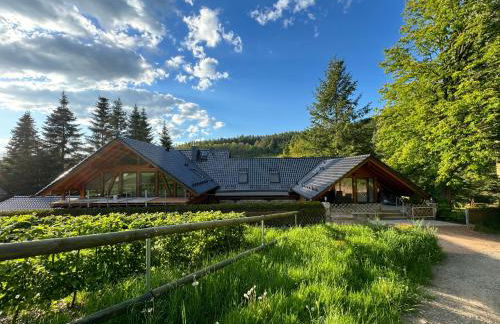 Apartment im Wald - mit Schwimmbad! - Foto 44