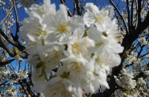 Le Petit Mas des Hauts de Beyssan, Maison de vacances avec piscine privative pour 2 personnes - Foto 29