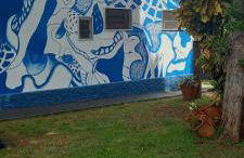 Hospedaria Recanto das Flores, perto Thermas - Foto 30