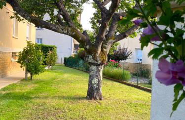 T3 rénové, jardin parking & garage privé, proche centre - Photo 20