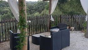 Los Chozos de Cazalla II - Photo 2