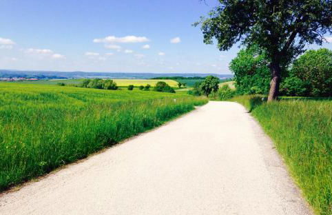 Ferienwohnung Schlossblick - Foto 23