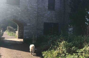 Bumble Bee Cottage - Photo 32