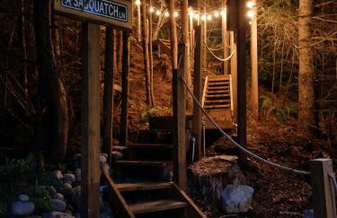 Treehouse Place at Deer Ridge Featured top 10 USA - Photo 24