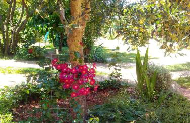 Casetta Olivetta - Foto 11