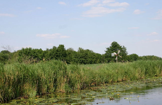 Rustic-chic Villa With Thatched Roof - Photo 24
