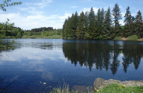 Villa Cora Venez neuve avec SPA - Foto 29