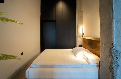 Crudo un Loft centrico de 50 m2 - Foto 12