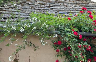 O Forno de Catuxa Cottage & Roman Wall - Foto 33