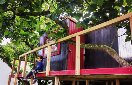 Azores Cow House - Photo 25