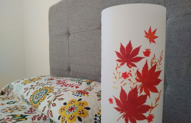 Casa Miguel y Sally - Photo 10