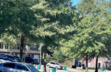 Peaceful Oasis In Stonecrest - Foto 38