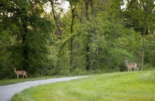 Cozy Rustic Cabin with Hot-Tub Ideal for a Couples Retreat in Illinois - Foto 26