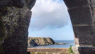 Ribeirinha House - Photo 3