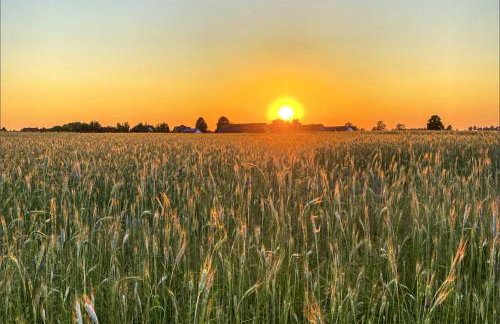 Otulina Gulczewo - Foto 28