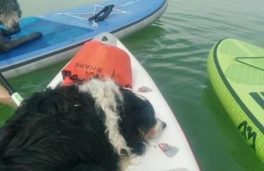 Ferienhaus Langer - Foto 14