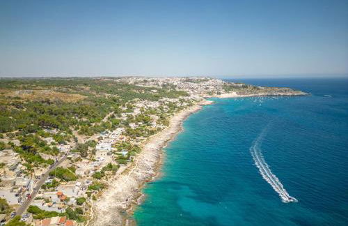 Marinaia Archi - Foto 6