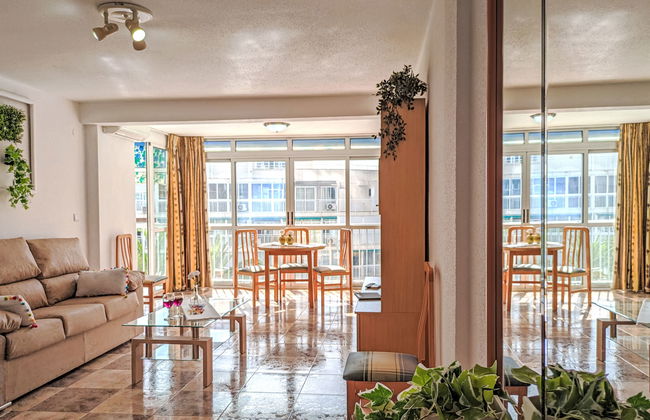 Halcon Levante - Foto 6