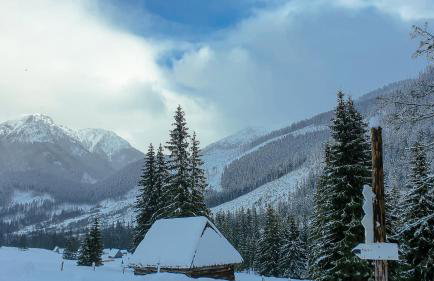 Willa Rąbanisko z sauną fińską - Foto 65