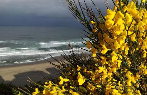 CHARMANTE MAISON - Meublé de Tourisme 2 étoiles "LOURECANTOU" - Foto 27