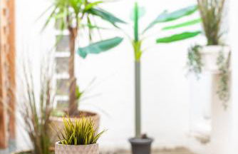 101 Cour de la Bastide - Foto 17