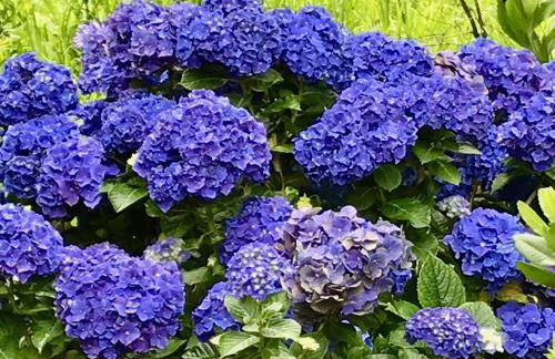 #Areias Houses 7 - Photo 33