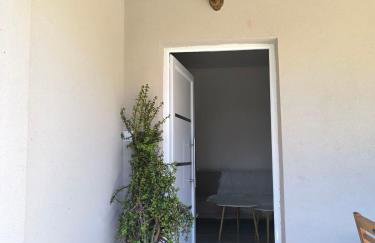 Araucaria studio Manis - Foto 14