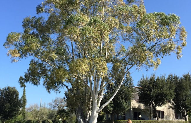 Agriturismo I Profumi dell'Orto - Foto 22