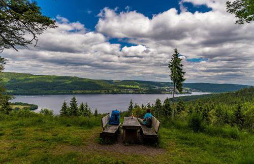 Ferienwohnung Sohnrey für 4 Gäste, Titisee-Neustadt - Foto 23