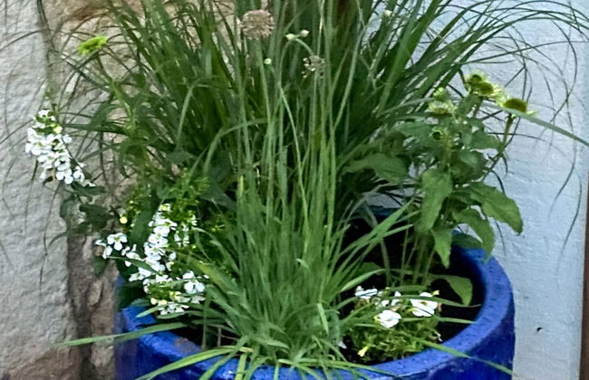 2 bedroom House in Lwówek Śląski with garden and terrace - Photo 29