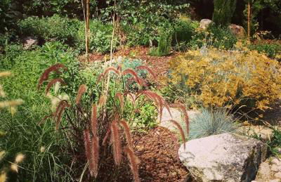 Fragas do Lobo - Casa da Azenha - Foto 37