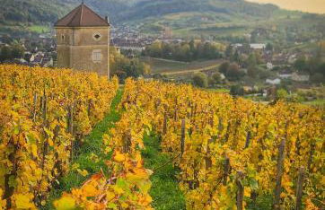 Loft Magazzino - Foto 23