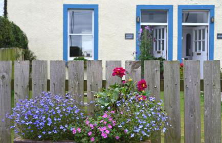 Little Egret - Foto 21