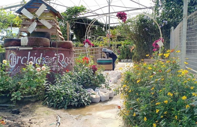 The Retreat sunrise view Cameron highlands - Photo 54