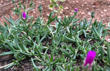 Kuća za odmor LO - Photo 14