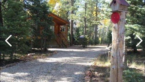 Adventure Awaits 3King Bed,2Bath Log Cabin in heart of Duck Creek Village! - Foto 4
