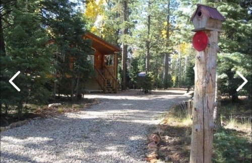 Adventure Awaits 3King Bed,2Bath Log Cabin in heart of Duck Creek Village! - Foto 4