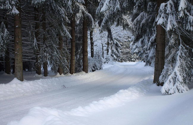 Holiday Complex Erzgebirge Idyll, Breitenbrunn - Foto 23