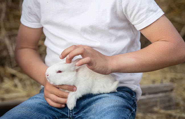 Marcús Casa rural - Foto 40