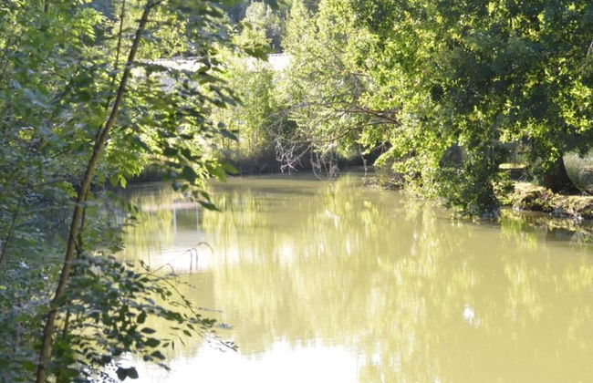 Holiday Home in Loubigne With Pool & Terrace - Photo 32