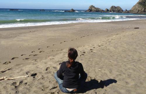 Panoramic Ocean View Home in Elk with Beach Access - Foto 41